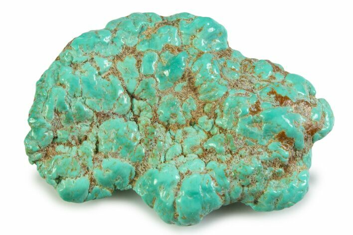 Polished Chilean Turquoise ( grams) Nugget #358848